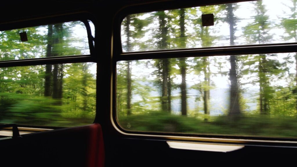 View through a moving train window with blurred green trees and a lake in the background, representing a missed moment during travel.