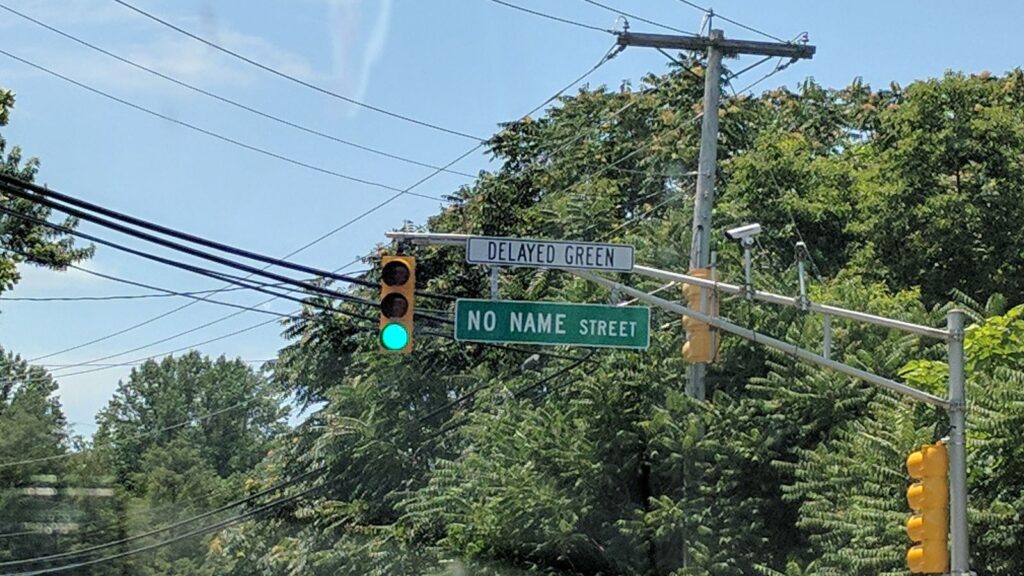Green traffic light above street signs reading "Delayed Green" and "No Name Street" surrounded by trees.