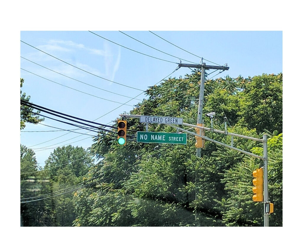 Green traffic light above street signs reading "Delayed Green" and "No Name Street" surrounded by trees.