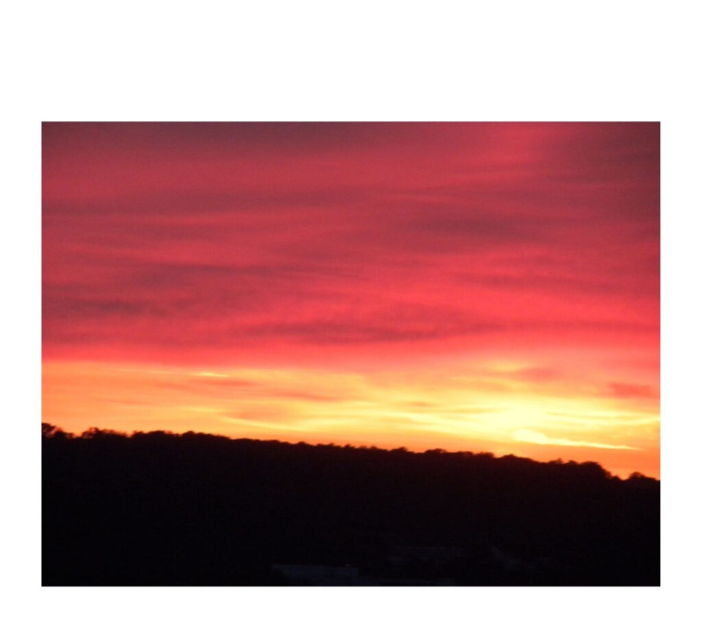 Vibrant pink and orange sunset over a dark tree-lined horizon.